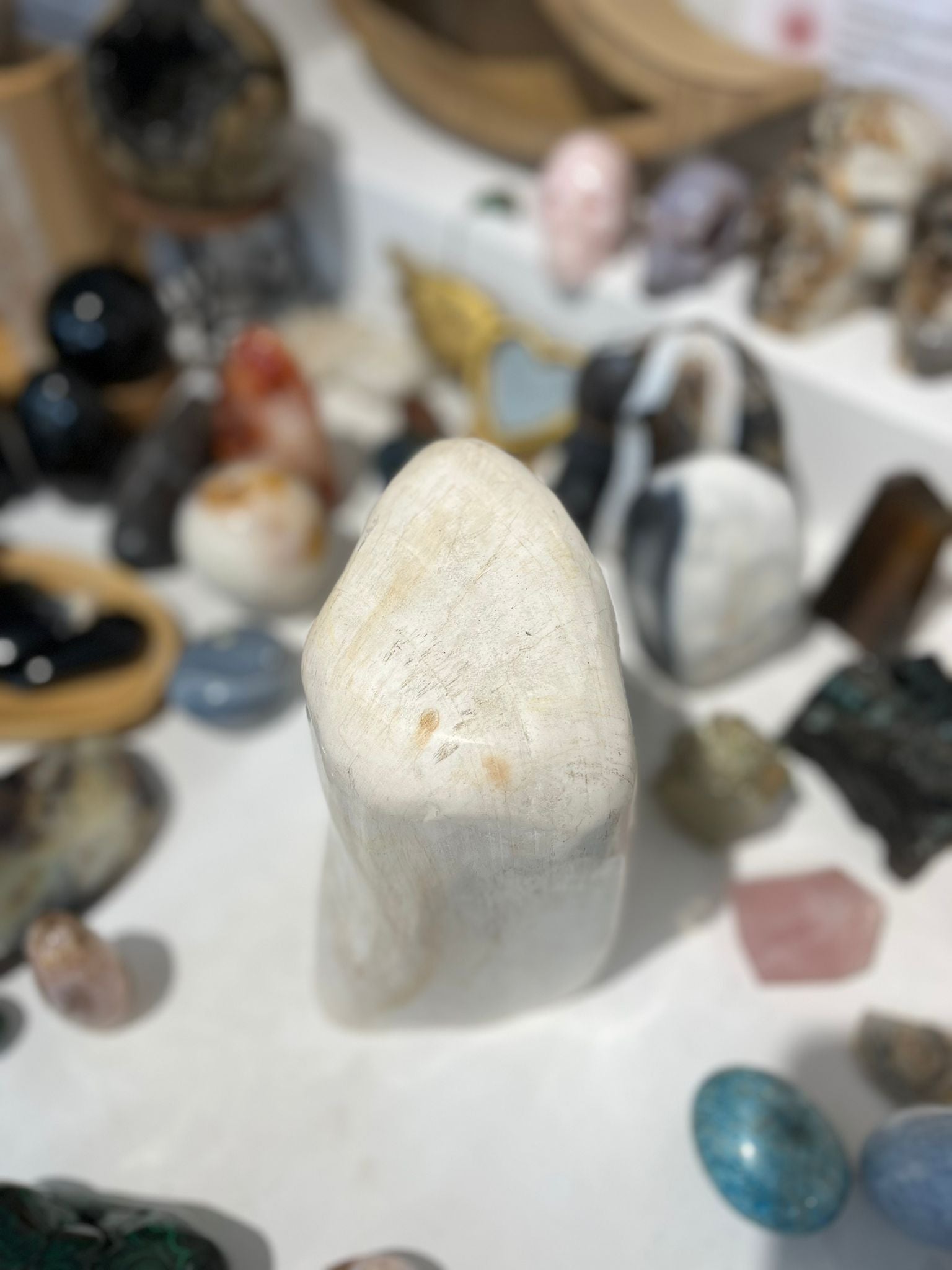 Bois Silicifié en provenance d’Indonesie
