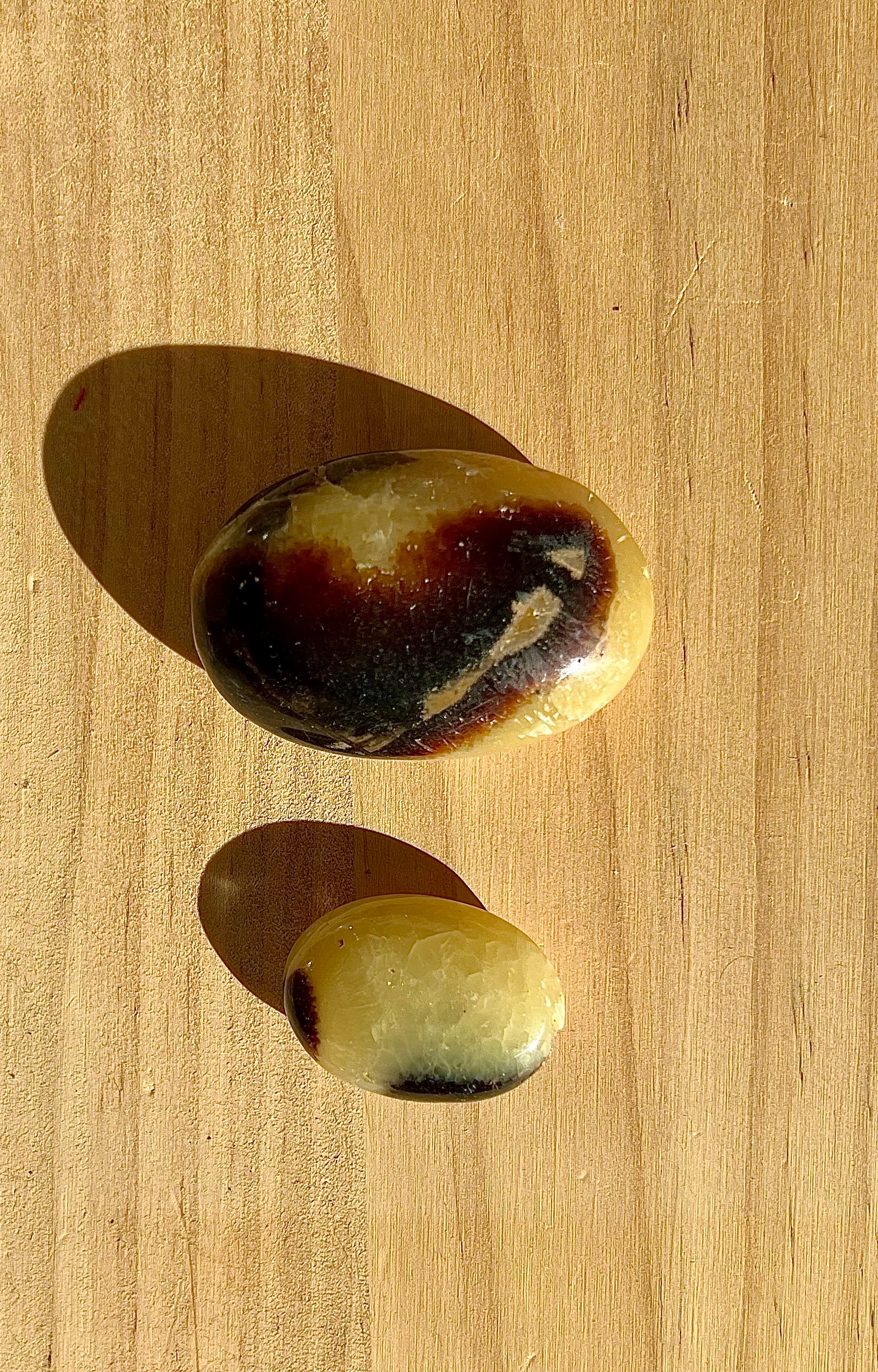 Septaria