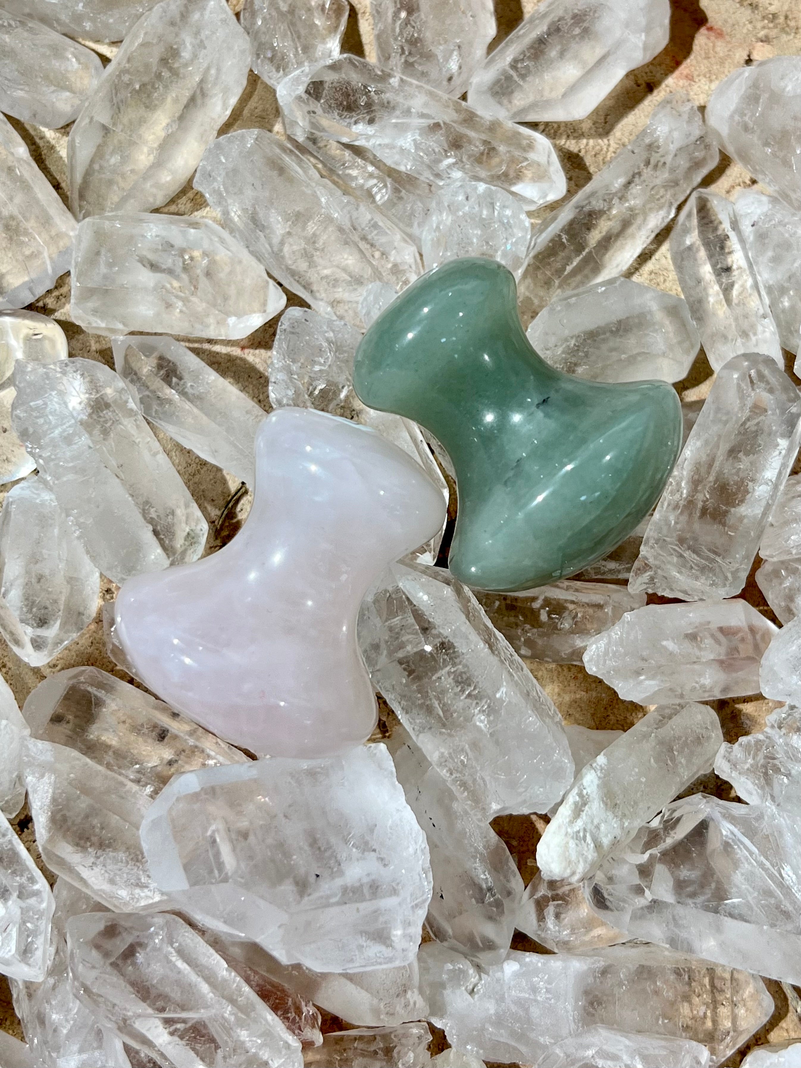 Gua Sha champignon