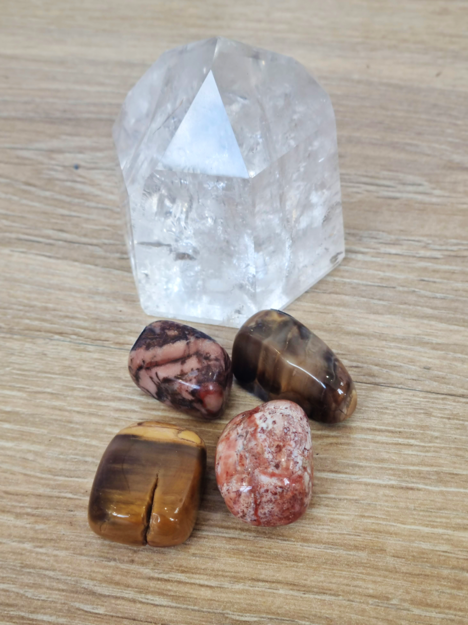 Bois Silicifié