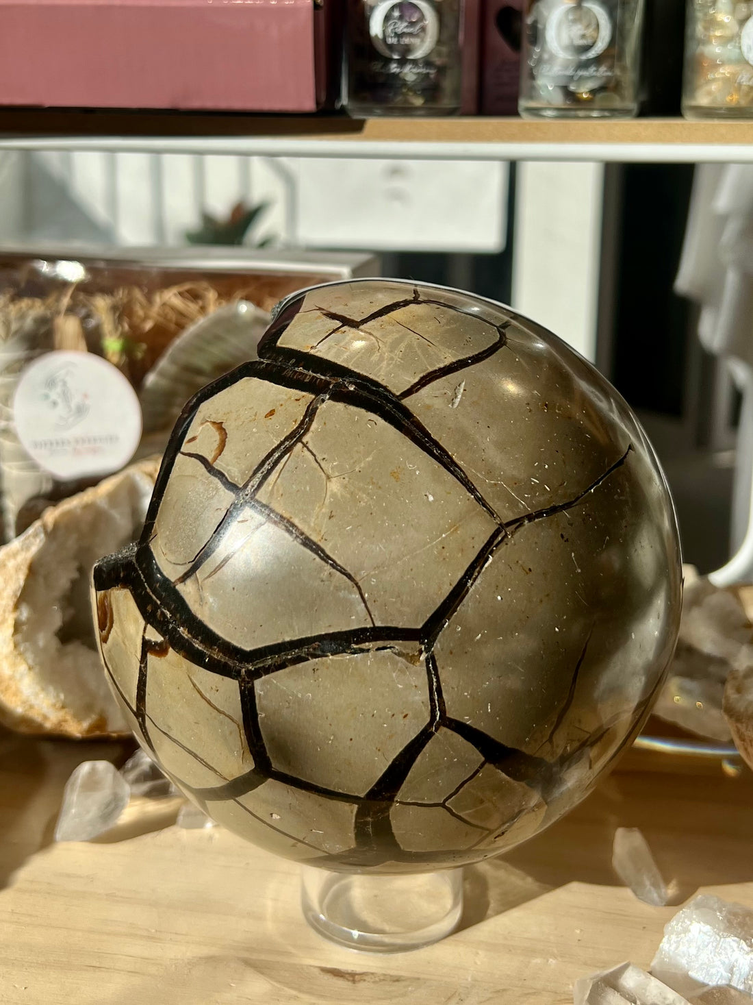 Géode de Septaria en forme de Sphère