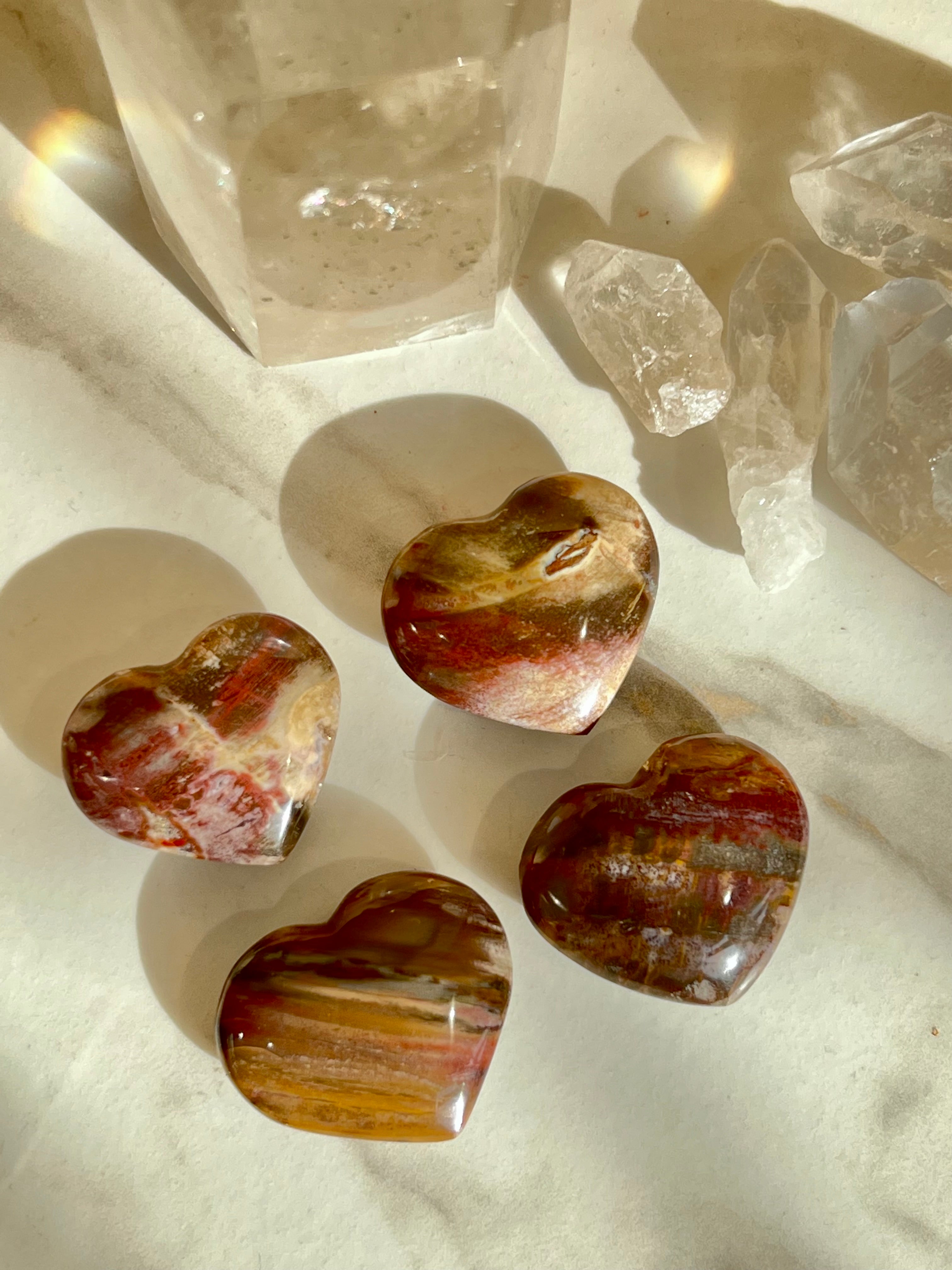 Coeur Bois Silicifié