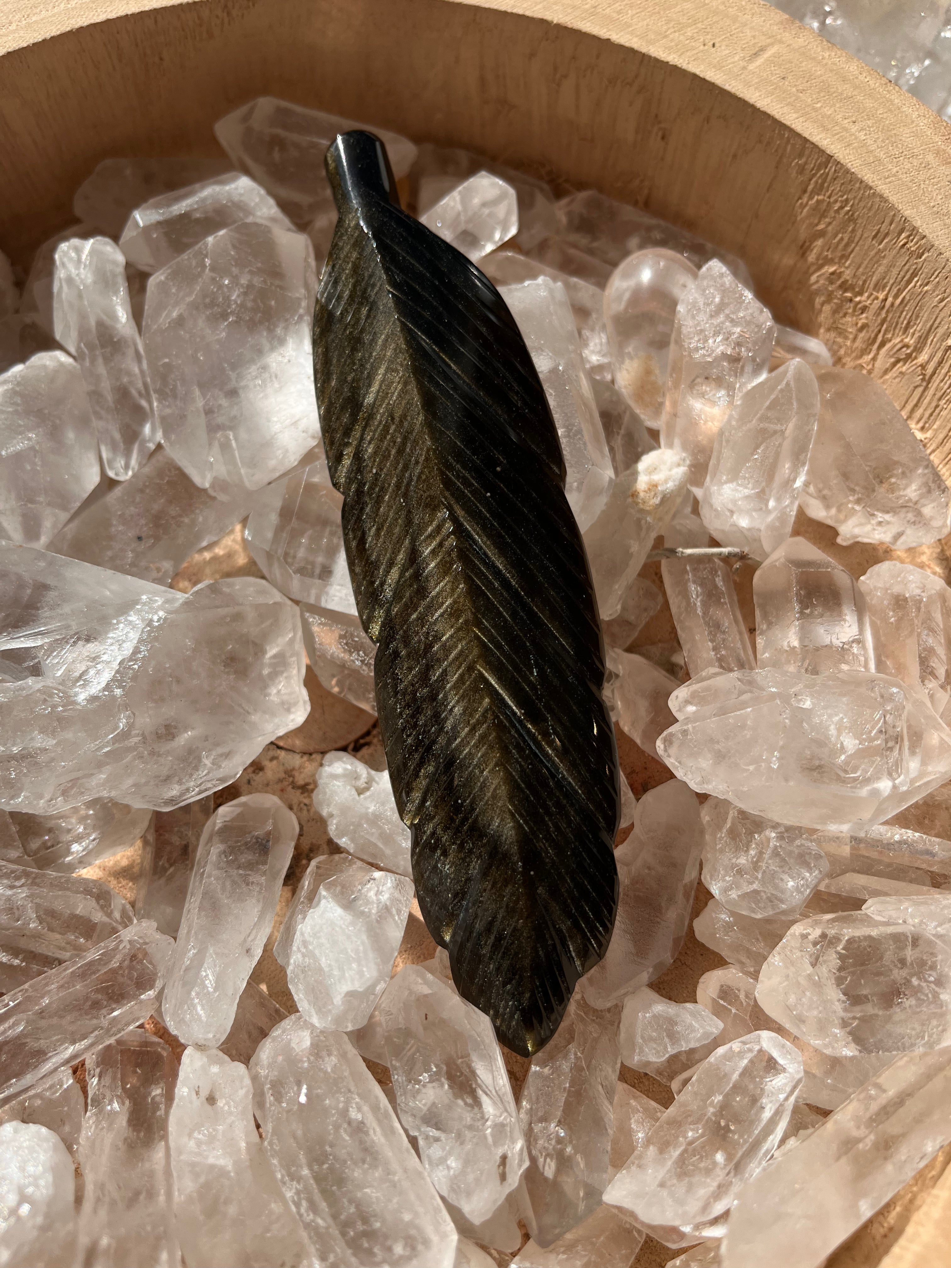 Plume Obsidienne Doré