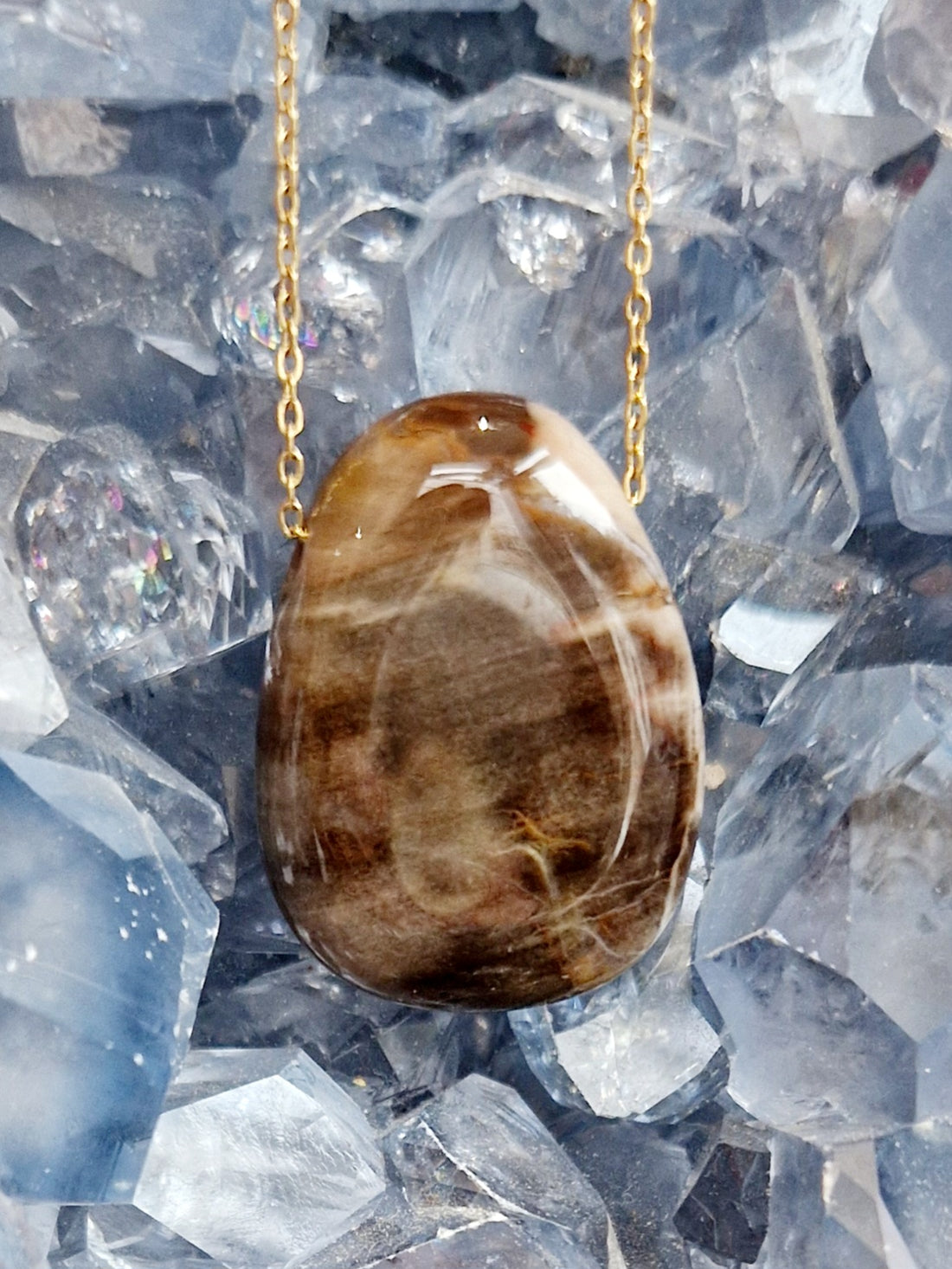 Pierre percée Bois Silicifié