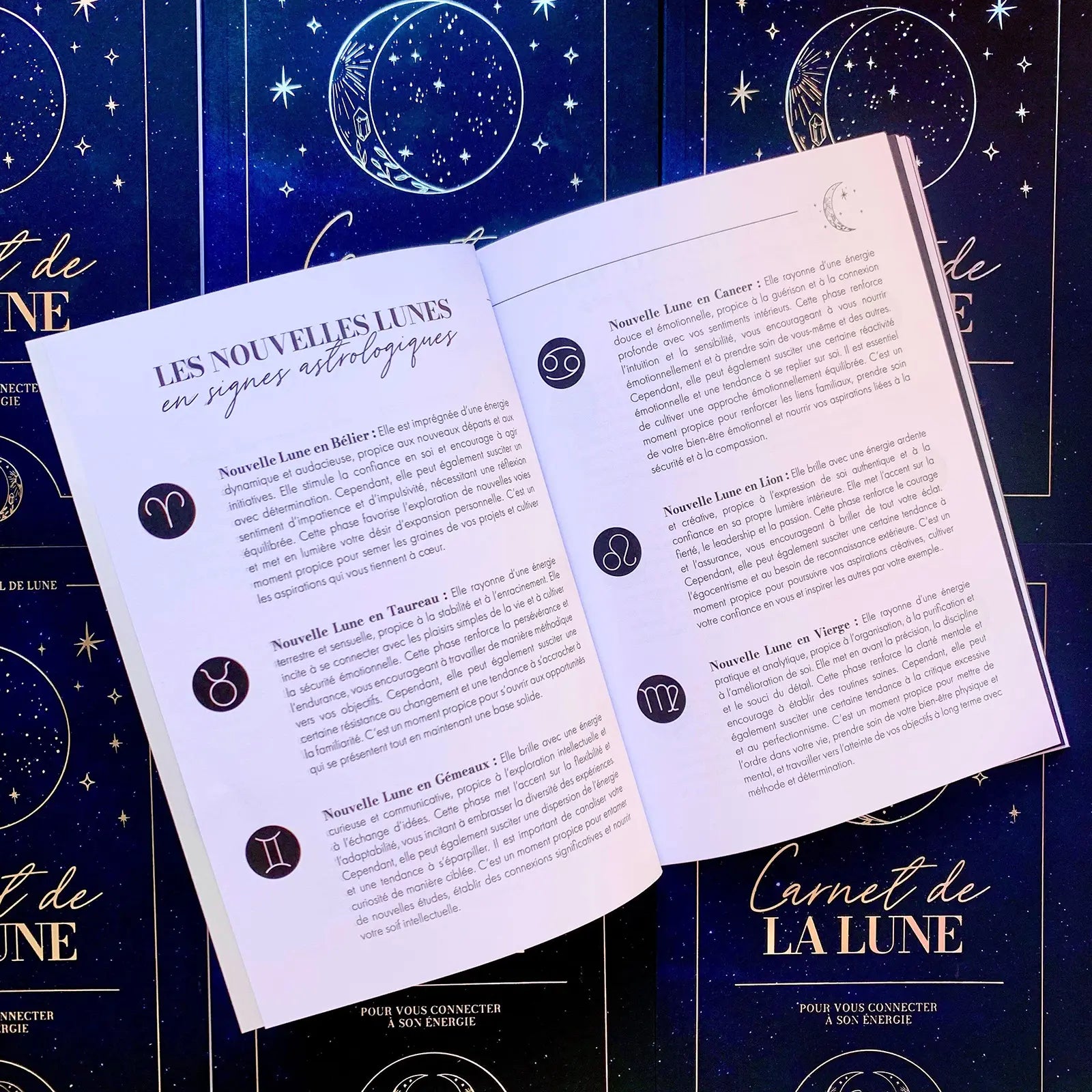 Carnet de la Lune Rituel de Lune