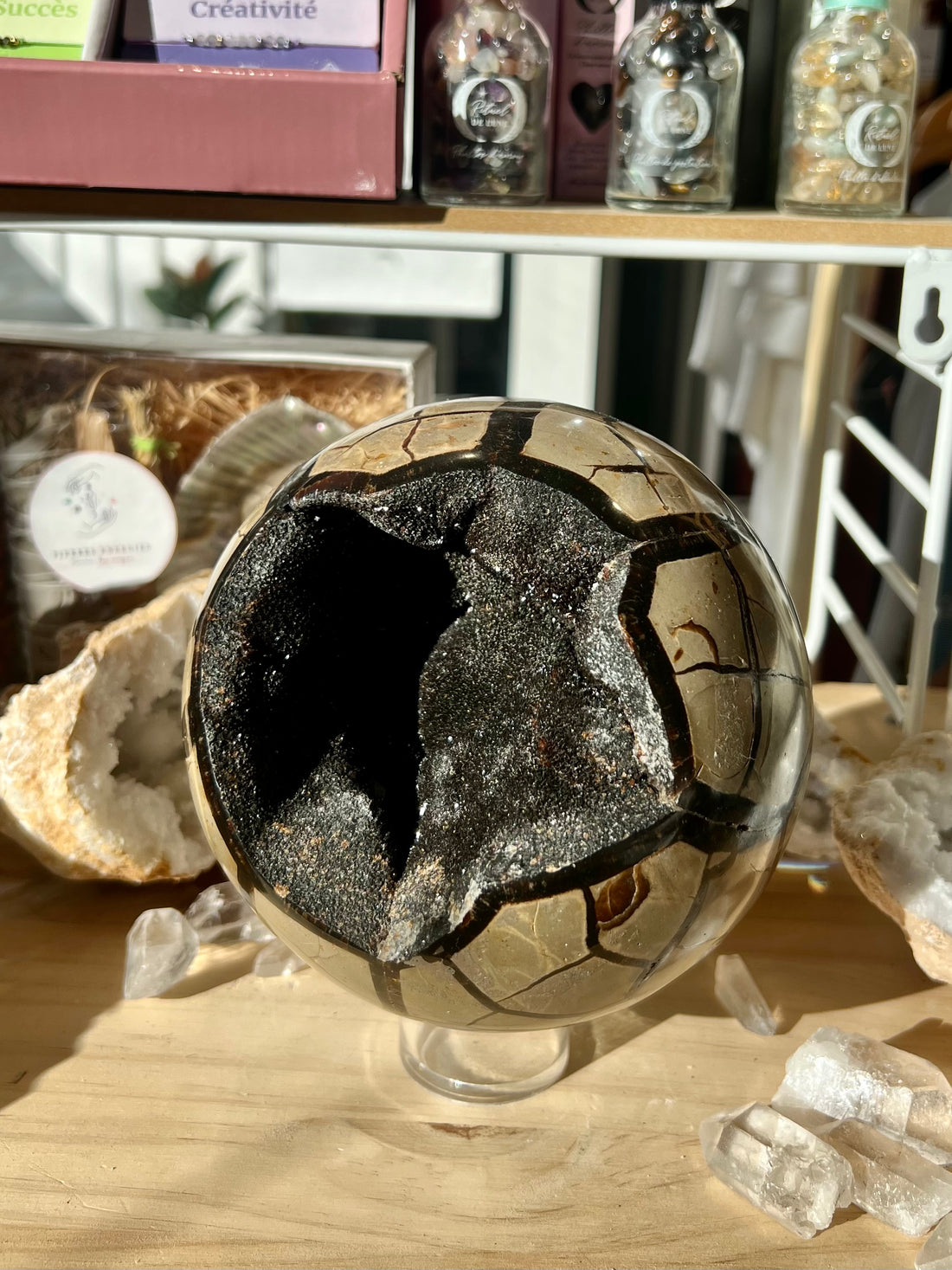 Géode de Septaria en forme de Sphère