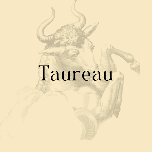 Kit de Pierres Signe Taureau