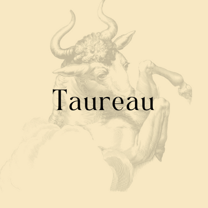 Kit de Pierres Signe Taureau