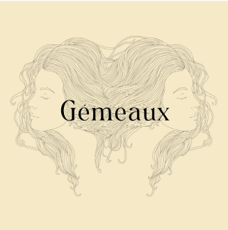 Kit de Pierres Signe Gémeaux
