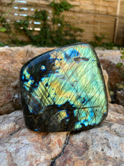 Labradorite Forme Libre 2,48kg