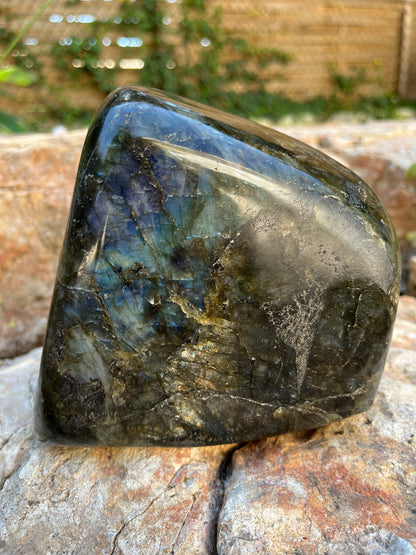 Labradorite Forme Libre 2,48kg