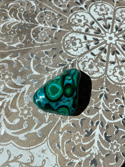Malacolla