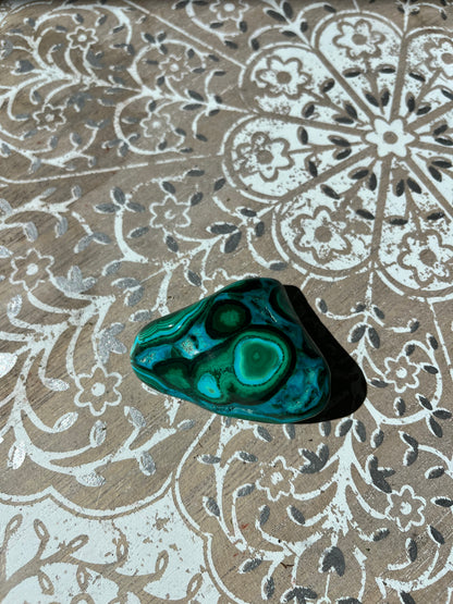 Malacolla