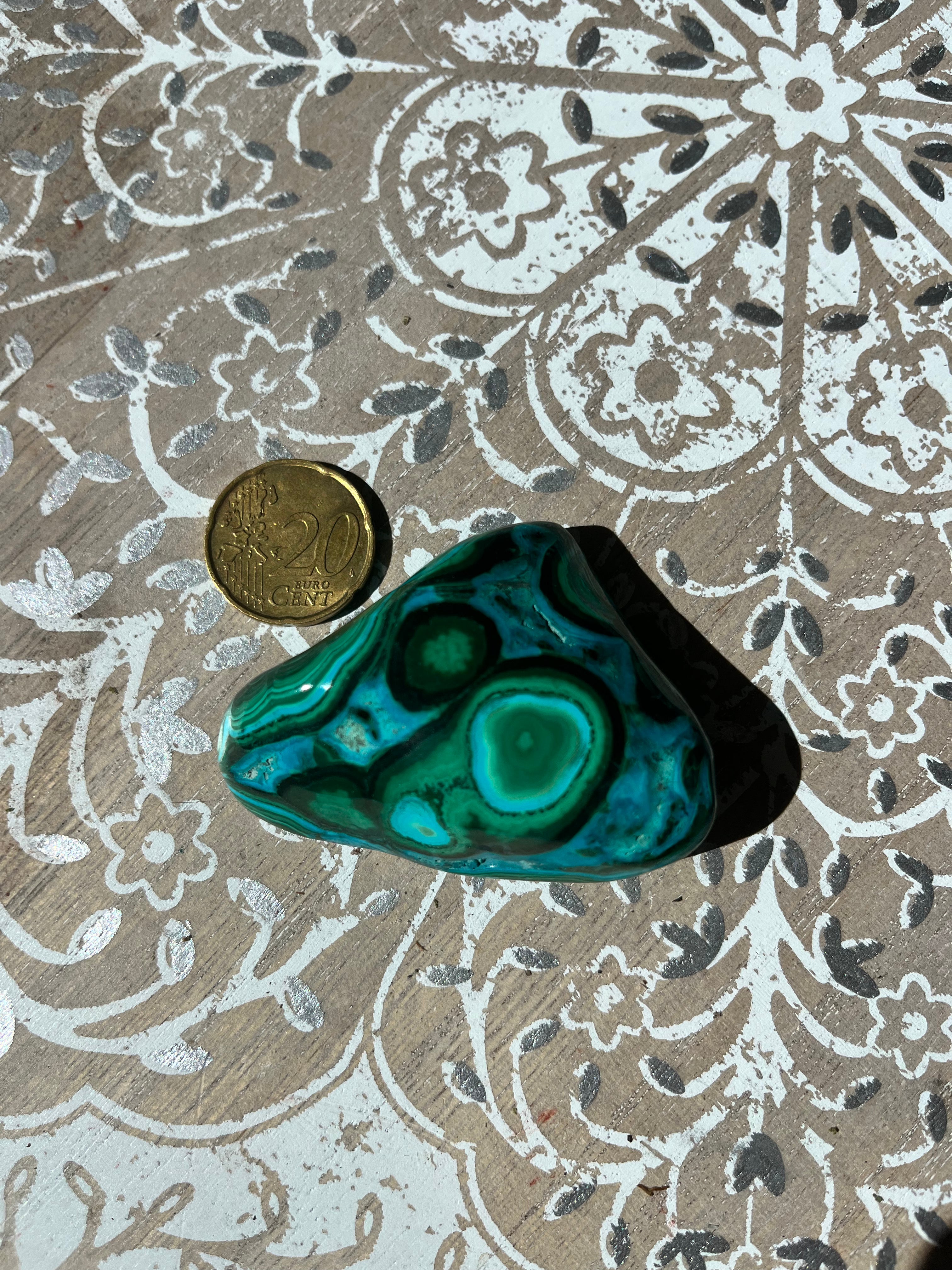 Malacolla