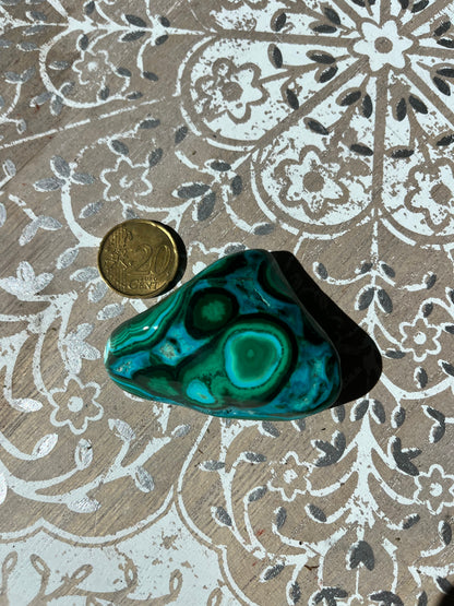 Malacolla