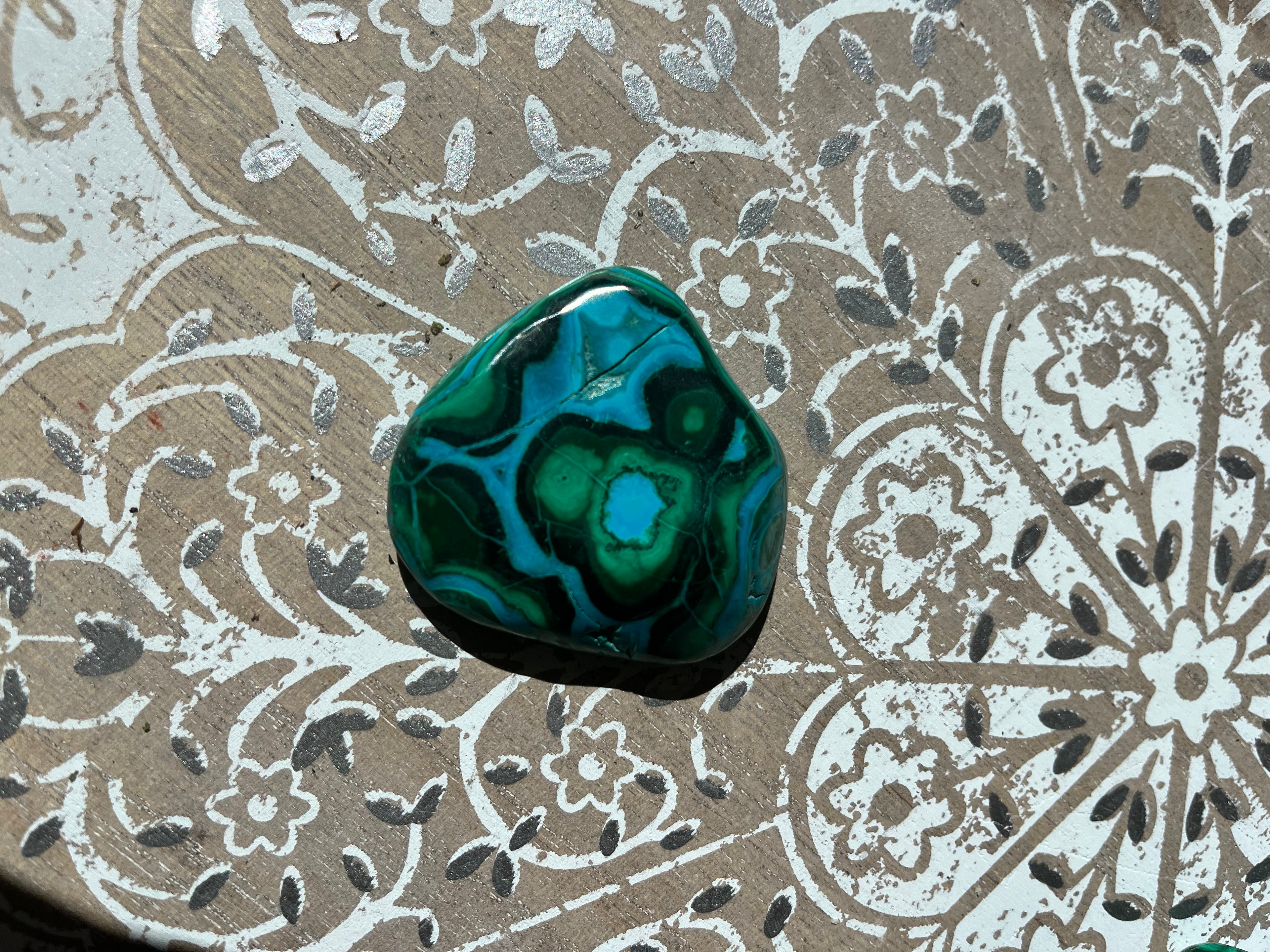 Malacolla