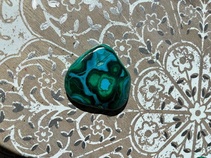 Malacolla