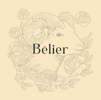 kit de pierres pour le bélier 